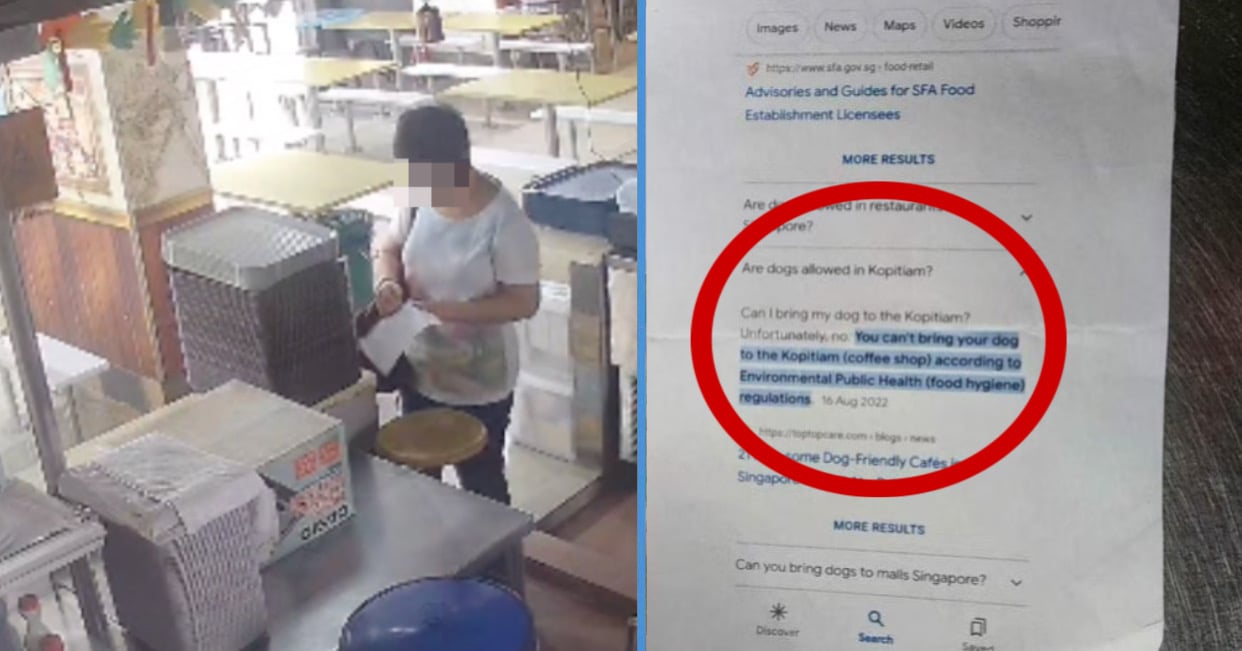 Woman Protests By Printing Google Search Result After Chicken Rice Stall Serves Guide Dog Owner